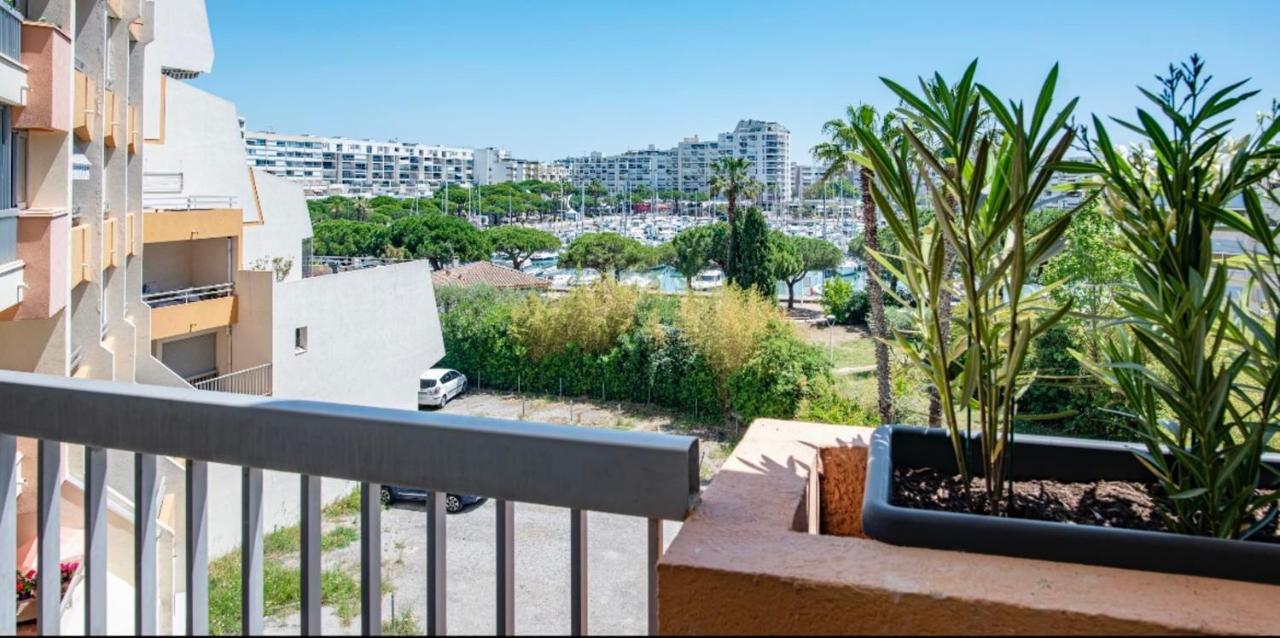 Superb Apartment Near The Port And The Sea モーギオ エクステリア 写真
